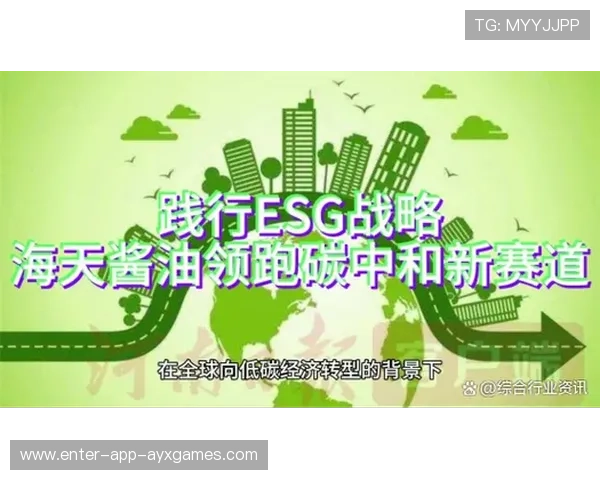 体育赛事的可持续性：绿色场馆与低碳运营，体育赛事可持续发展策略建议